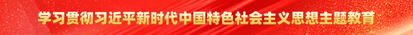 学习贯彻习近平新时代中国特色社会主义思想主题教育