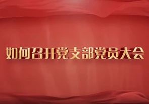 如何召开党支部党员大会？