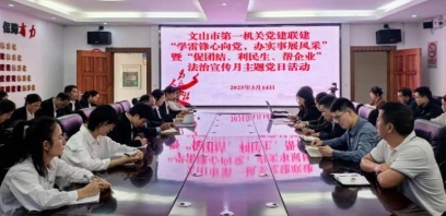 文山市第一机关党建联建开展“学雷锋心向党，办实事展风采”暨“促团结、利民生、帮企业”法治宣传月主题党日活动