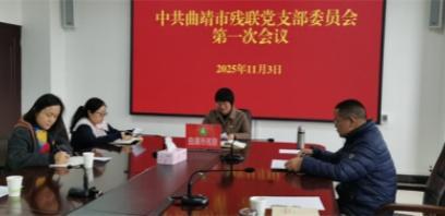 曲靖市残联机关党支部圆满完成换届选举