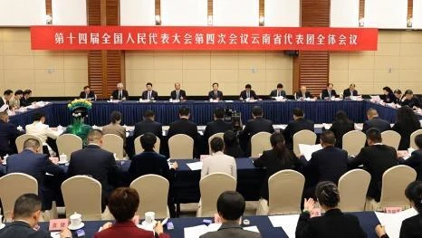 云南省代表团举行全体会议推选王宁为代表团团长，王予波李小三为副团长