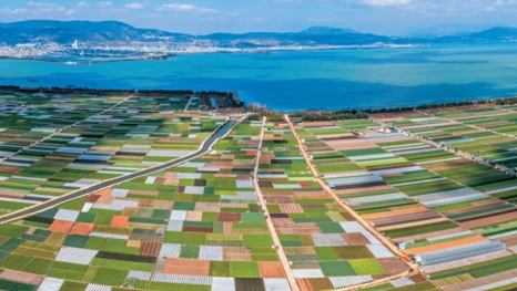 《云岭之窗》杂志发表省委书记王宁署名文章《努力开创云南乡村全面振兴新局面》