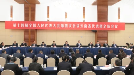 云南省代表团举行全体会议继续审议全国人大常委会工作报告和两高工作报告王宁主持会议 王予波等参加