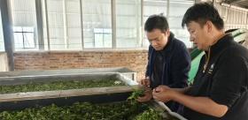 盘活存量“沉睡”资产 激活乡村产业发展新动能