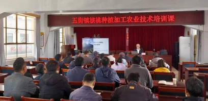 省委党史研究室驻村工作队邀请专家开展核桃高值化开发技术培训