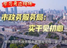 学习身边榜样丨昆明市政务服务管理局：实干见初心 学习明方向