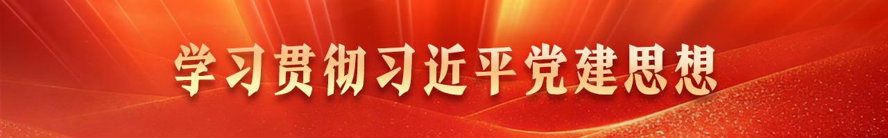 学习贯彻习近平党建思想