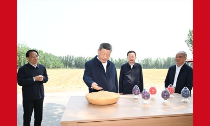 习近平在山东德州考察时强调 以扎实举措推进农业农村现代化 用勤劳和智慧创造更加美好生活