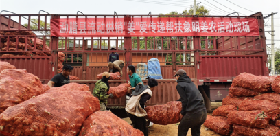 西双版纳州供销合作社：党建领航聚合力 供销赋能促振兴