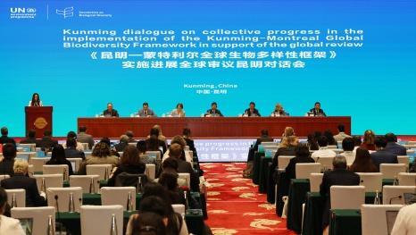 “昆蒙框架”实施进展全球审议昆明对话会开幕黄润秋王予波等致辞