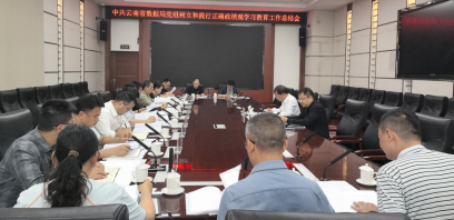 中共云南省数据局党组召开树立和践行正确政绩观学习教育工作总结会