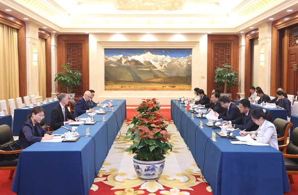 王宁会见英国驻华大使魏磊